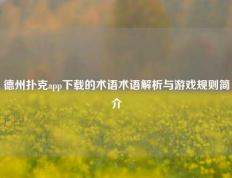 德州扑克app下载的术语术语解析与游戏规则简介