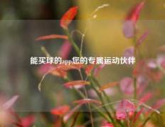 能买球的app您的专属运动伙伴