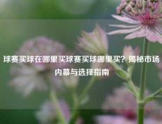 球赛买球在哪里买球赛买球哪里买？揭秘市场内幕与选择指南