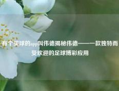 有个买球的app叫伟德揭秘伟德——一款独特而受欢迎的足球博彩应用