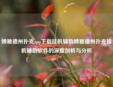 博雅德州扑克app下载挂机辅助博雅德州扑克挂机辅助软件的深度剖析与分析