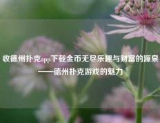 收德州扑克app下载金币无尽乐趣与财富的源泉——德州扑克游戏的魅力