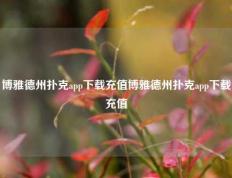 博雅德州扑克app下载充值博雅德州扑克app下载充值