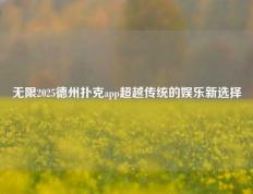 无限2025德州扑克app超越传统的娱乐新选择