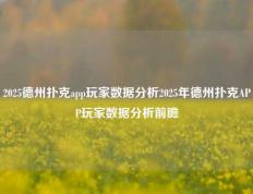 2025德州扑克app玩家数据分析2025年德州扑克APP玩家数据分析前瞻
