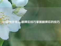 2025德州扑克app翻牌后技巧掌握翻牌后的技巧