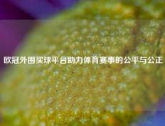 欧冠外围买球平台助力体育赛事的公平与公正