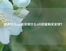 还有什么app能买球什么APP还能购买足球？