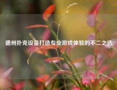 德州扑克设备打造专业游戏体验的不二之选