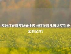 欧洲杯在哪买球安全欧洲杯在哪儿可以买到安全的足球？