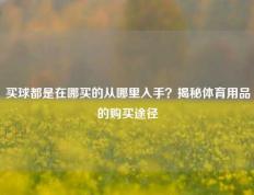 买球都是在哪买的从哪里入手？揭秘体育用品的购买途径