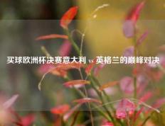 买球欧洲杯决赛意大利 vs 英格兰的巅峰对决