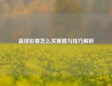 蓝球彩票怎么买策略与技巧解析