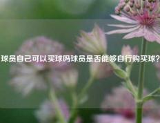 球员自己可以买球吗球员是否能够自行购买球？