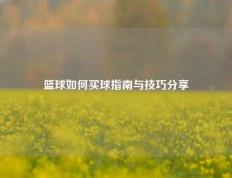 篮球如何买球指南与技巧分享