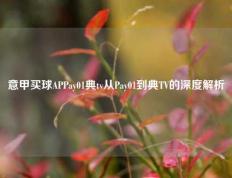 意甲买球APPay01典tv从Pay01到典TV的深度解析