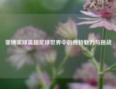 亚博买球英超足球世界中的独特魅力与挑战
