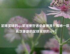 足球买球的app足球爱好者必备神器！揭秘一款高效便捷的足球买球的APP