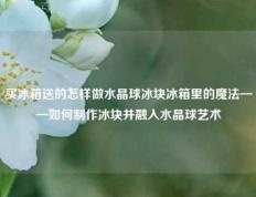 买冰箱送的怎样做水晶球冰块冰箱里的魔法——如何制作冰块并融入水晶球艺术