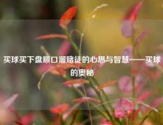 买球买下盘顺口溜赌徒的心思与智慧——买球的奥秘
