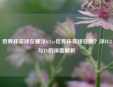 世界杯买球在哪浮fc3,tv世界杯买球在哪？浮FC3与TV的深度解析
