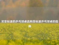买非标准的乒乓球桌选购非标准乒乓球桌的指南