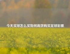 今天买球怎么买如何高效购买足球彩票