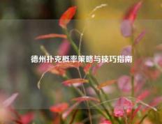 德州扑克概率策略与技巧指南