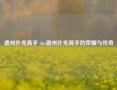 德州扑克高手 the德州扑克高手的荣耀与传奇