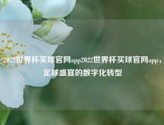 2022世界杯买球官网app2022世界杯买球官网app，足球盛宴的数字化转型