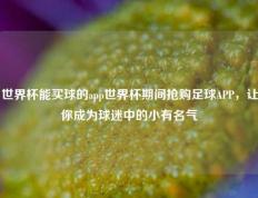 世界杯能买球的app世界杯期间抢购足球APP，让你成为球迷中的小有名气