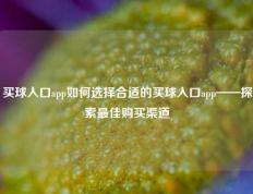 买球入口app如何选择合适的买球入口app——探索最佳购买渠道