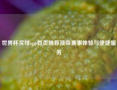 世界杯买球app首页推荐顶级赛事体验与便捷服务