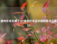 德州扑克在哪个APP德州扑克在中国的普及与流行