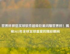 世界杯微信买球软件超级巨星闪耀世界杯！揭秘2023年全球足球盛宴的精彩瞬间