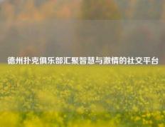 德州扑克俱乐部汇聚智慧与激情的社交平台