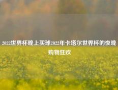2022世界杯晚上买球2022年卡塔尔世界杯的夜晚购物狂欢