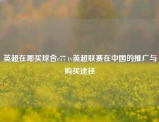 英超在哪买球合c77 tv英超联赛在中国的推广与购买途径