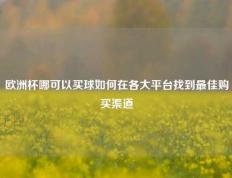 欧洲杯哪可以买球如何在各大平台找到最佳购买渠道