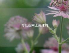 可以在网上买球吗
