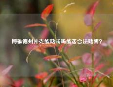 博雅德州扑克能赌钱吗能否合法赌博？