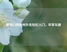 搜狗口袋德州扑克轻松入门，尽享乐趣