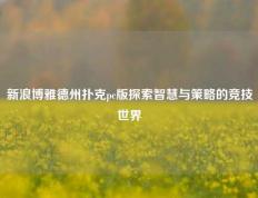 新浪博雅德州扑克pc版探索智慧与策略的竞技世界