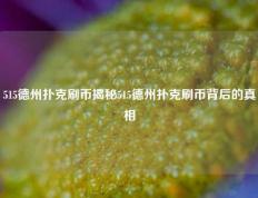 515德州扑克刷币揭秘515德州扑克刷币背后的真相