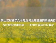 网上买球输了几十万,如何处理遭遇网购损失百万巨款的惊魂时刻——如何妥善应对与解决