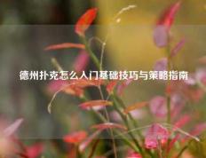 德州扑克怎么入门基础技巧与策略指南