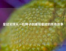 皇冠买球从一粒种子到璀璨皇冠的传奇故事