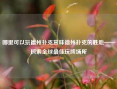 哪里可以玩德州扑克赏味德州扑克的胜地——探索全球最佳玩牌场所