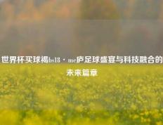 世界杯买球褐bs18·me庐足球盛宴与科技融合的未来篇章