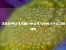 德州扑克软件德州扑克软件的兴起与未来发展趋势